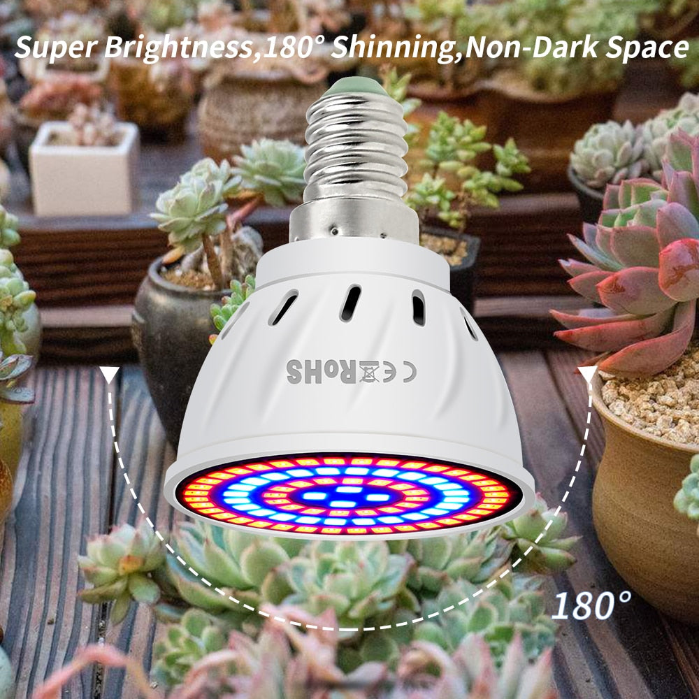 Hydroponic LED Grow Bulb with Different Base