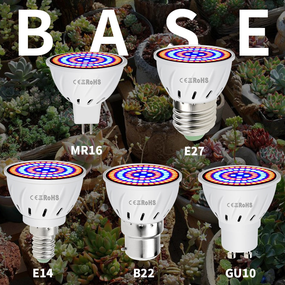 Hydroponic LED Grow Bulb with Different Base